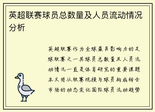 英超联赛球员总数量及人员流动情况分析